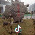 一袭清风