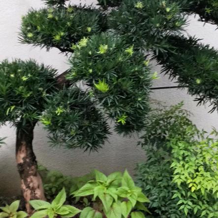 用户4899319070694永不言败