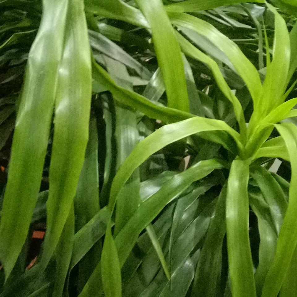 妙笔生花@