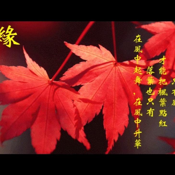💖让心归零💦