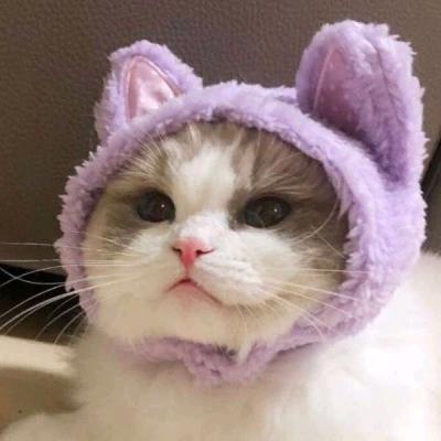 静听