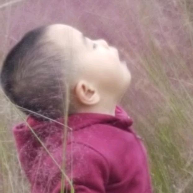 一席之帝（席格）