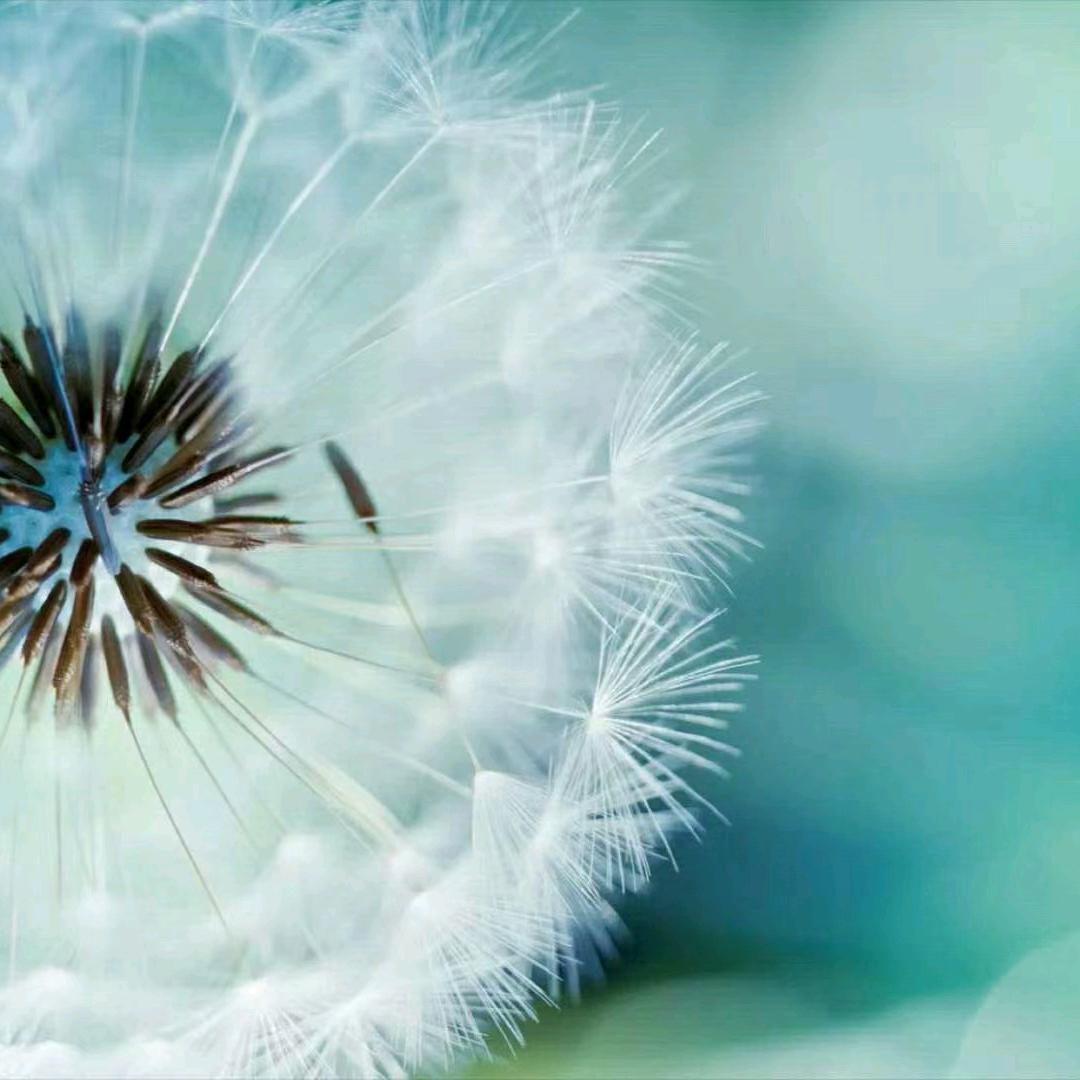 风雨无阻（承蒙厚爱）