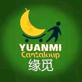 蕾姐不是姐