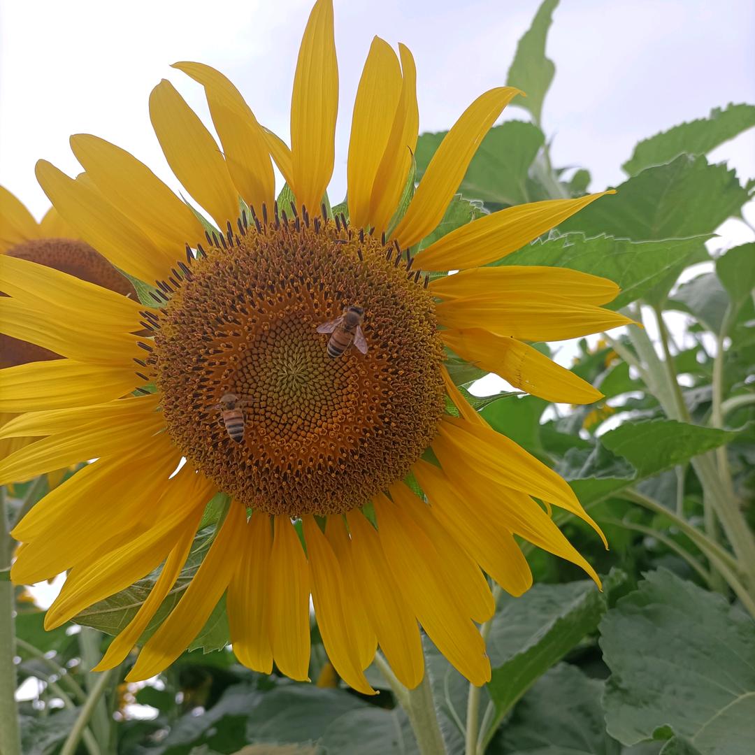 拐个弯与自己和解