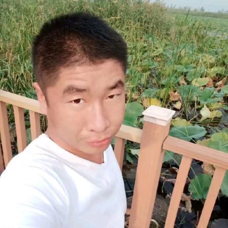 奔波在外猪