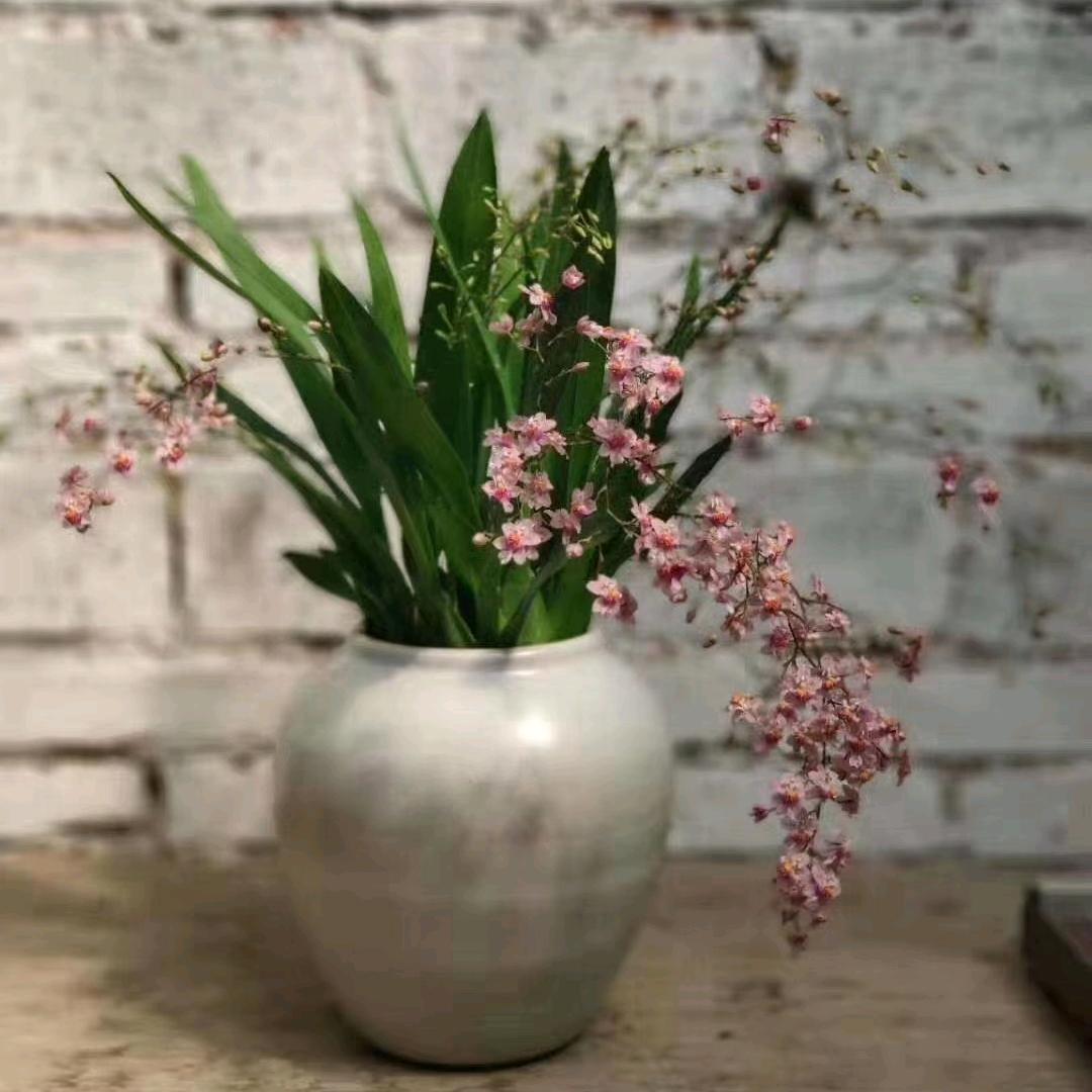 骑着乌龟追太阳