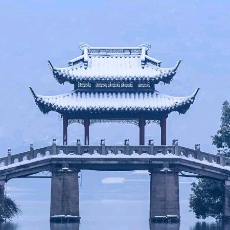 明丫崽