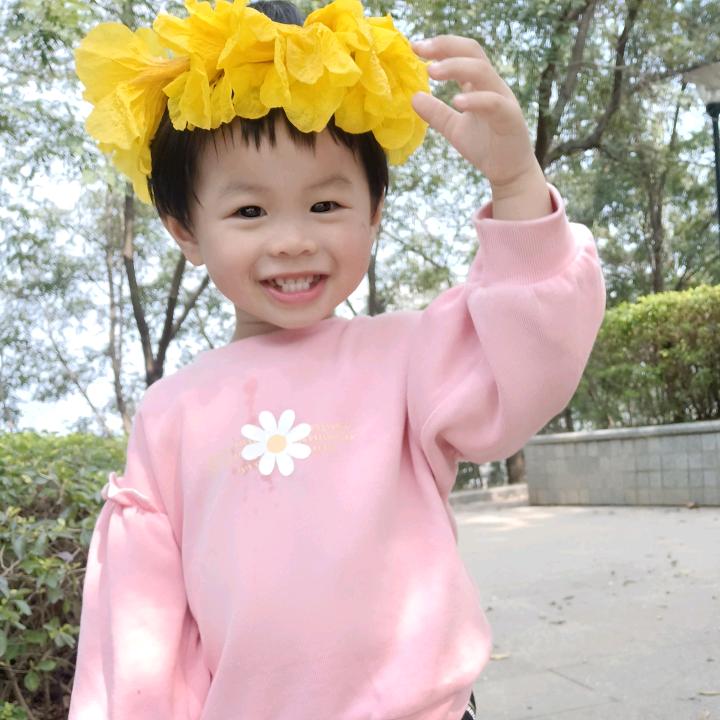 美桂886