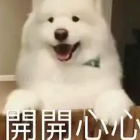 拼命赚钱