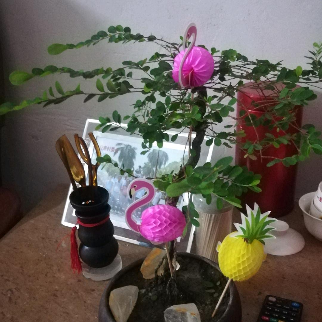 努力赚钱