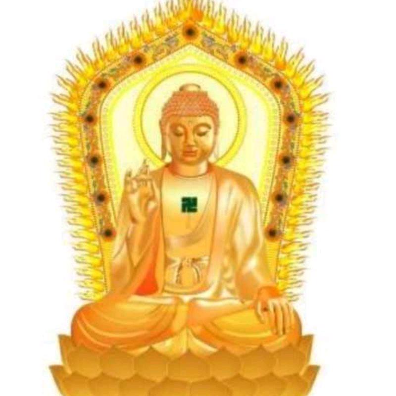 🇨🇳🐑包罗万象🐑🇨🇳