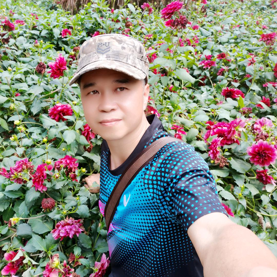 乒乓球球迷会（龙头至尊）