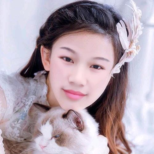 燕子飞翔