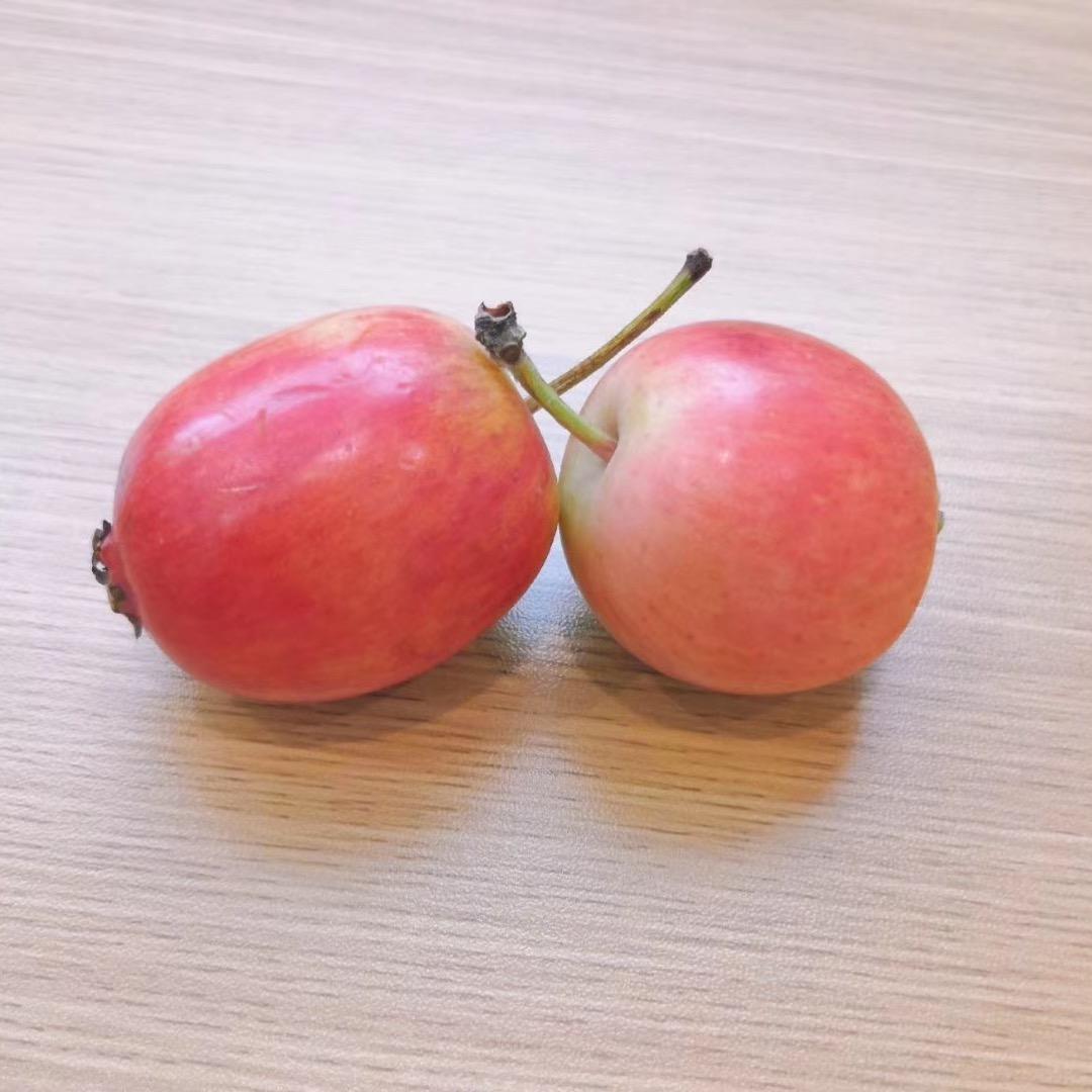 用时光来见证8