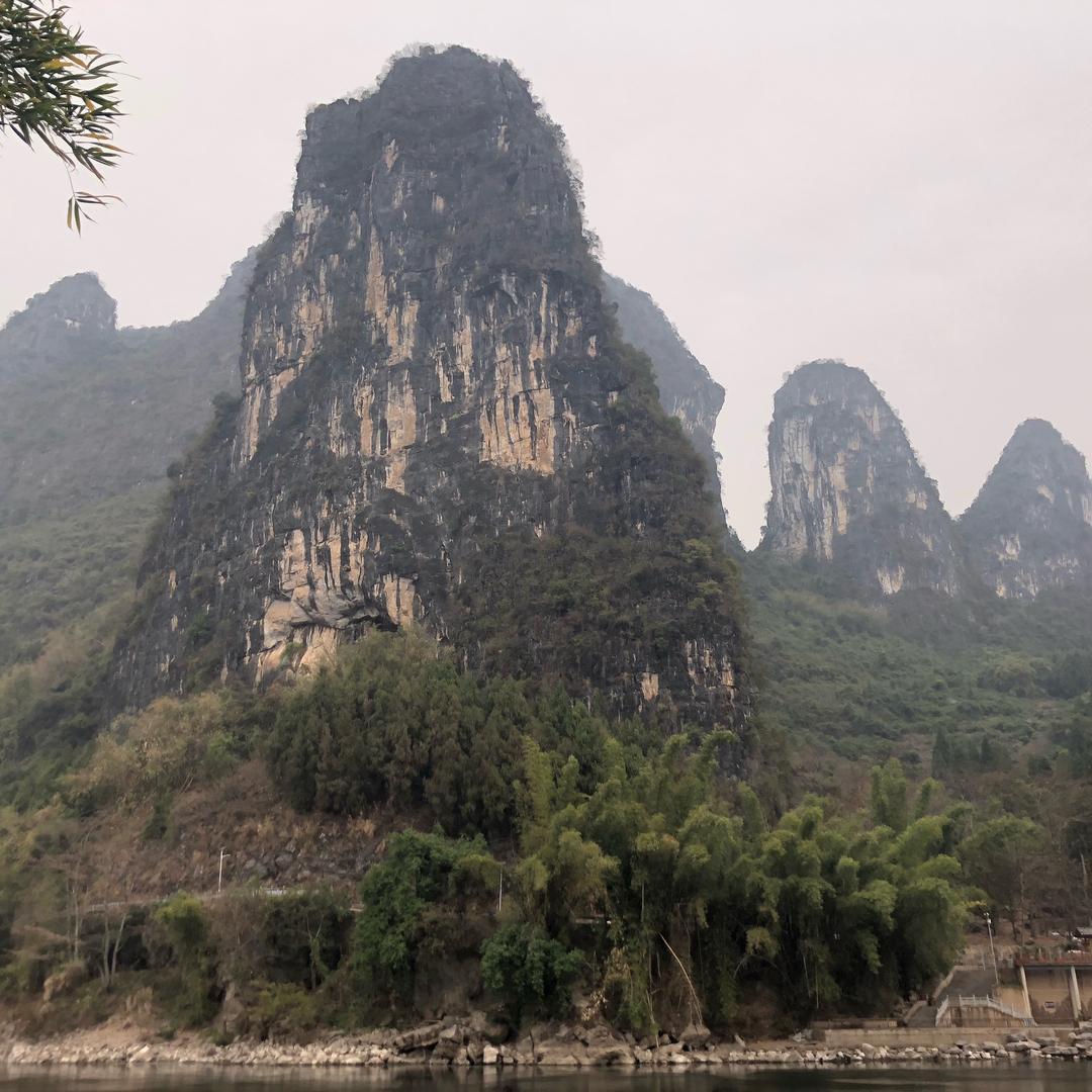 单吊八万的王主任