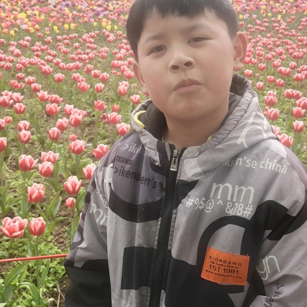 刘佳