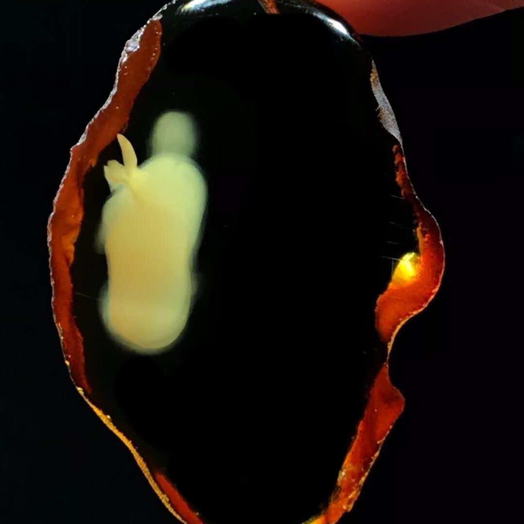 大漠琥珀