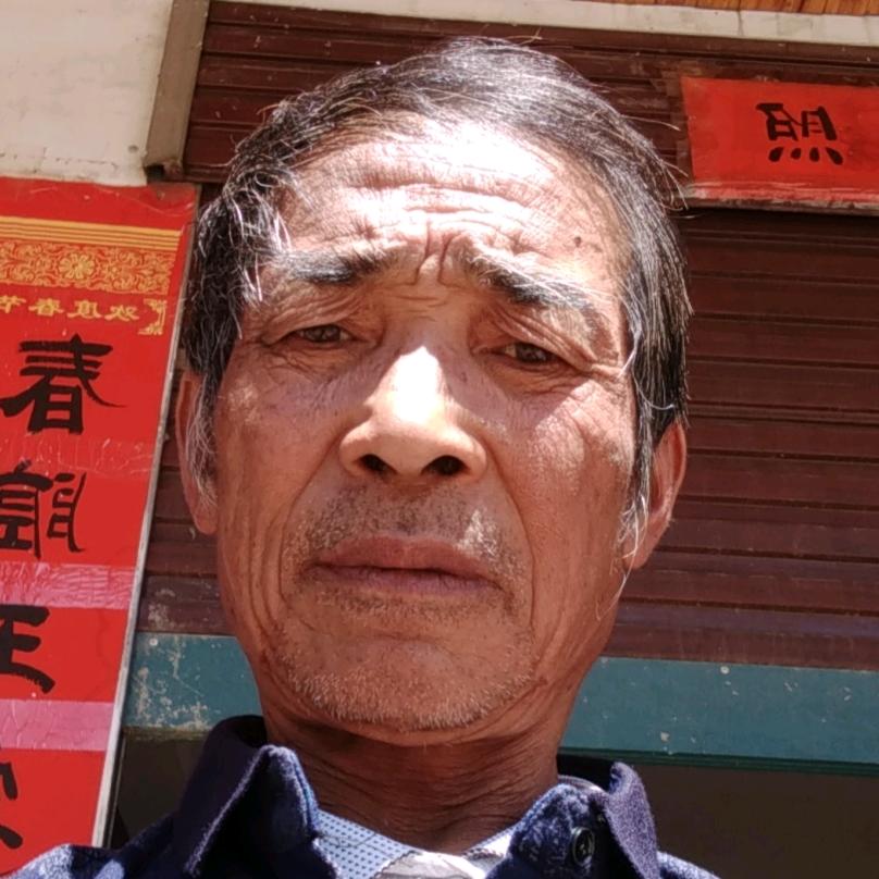 陈良仙