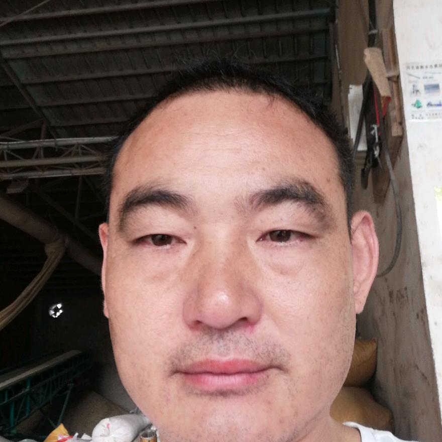 阳美君华容飞飞豆业