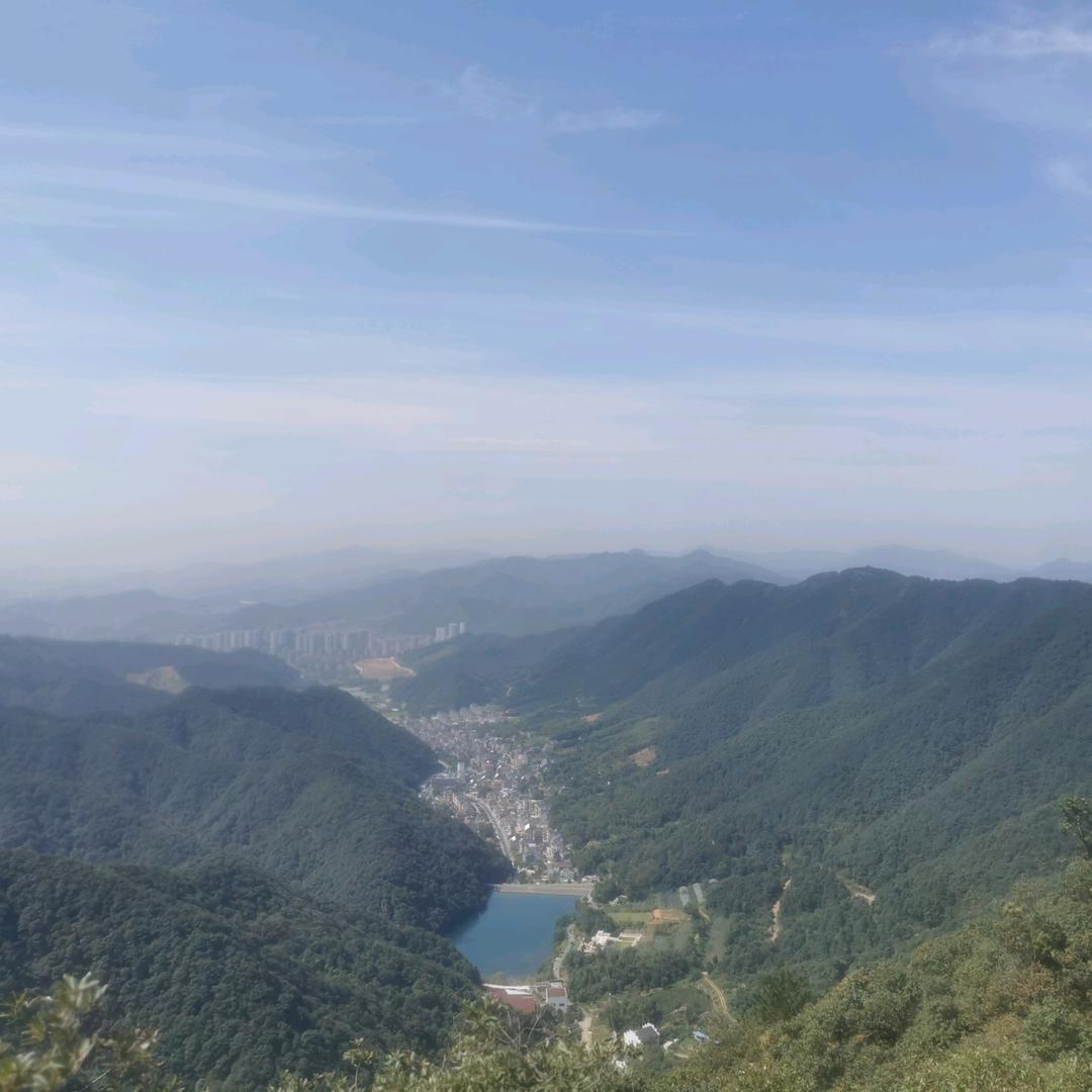 五味子
