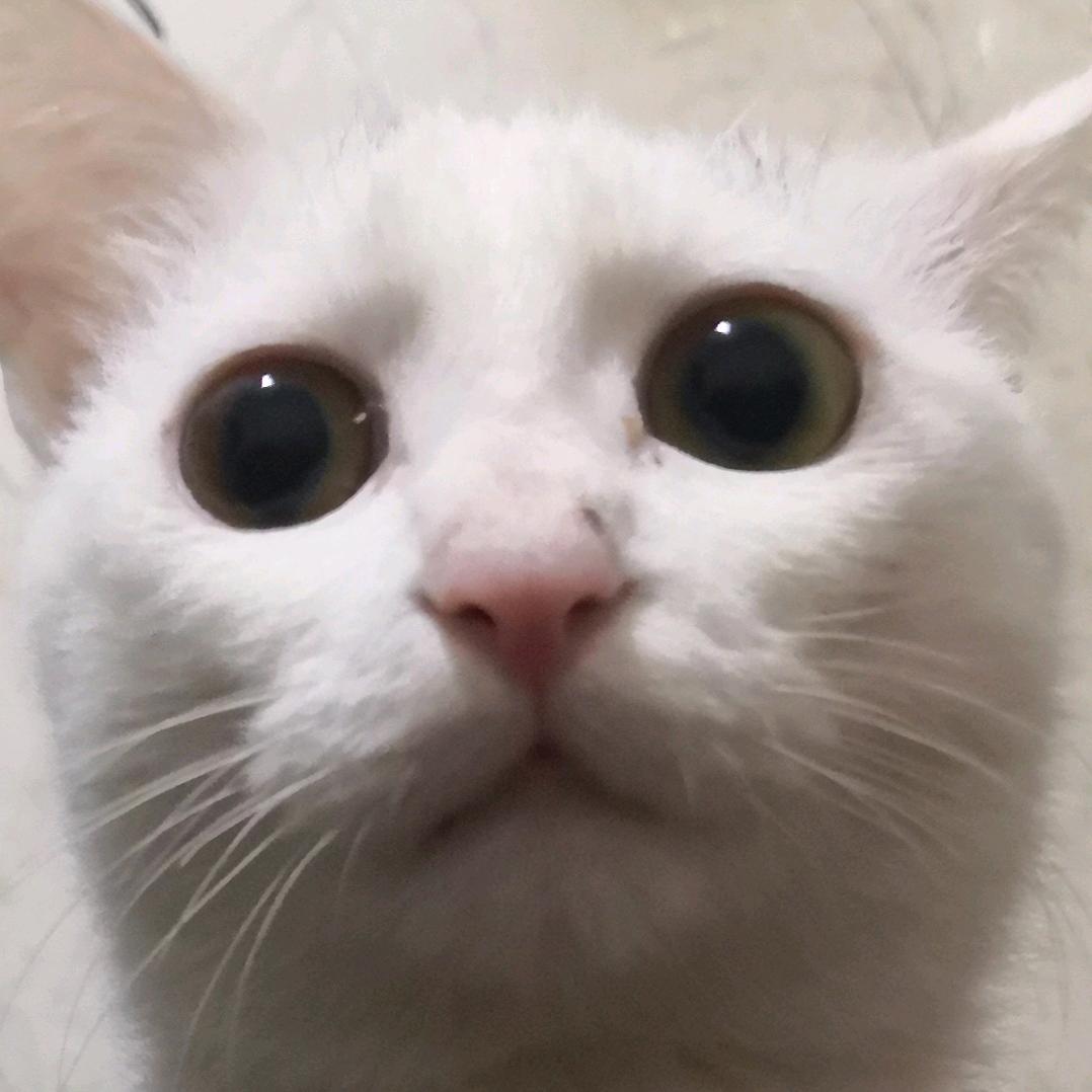 幸运星