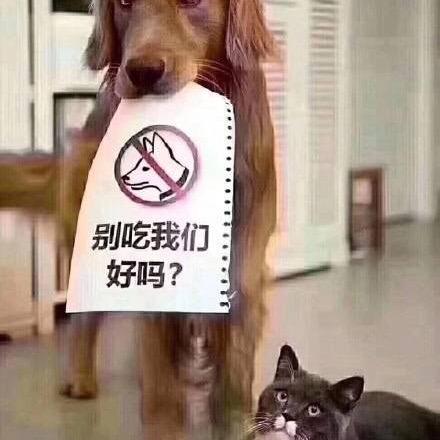 闲慧楼