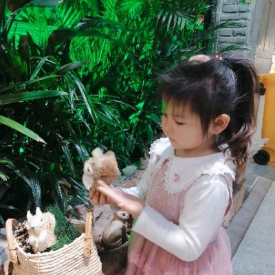 梦想如意