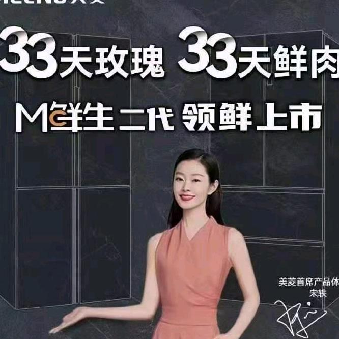 不服来装-美菱丽