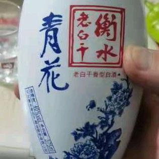 纵有疾风起，人生不言弃