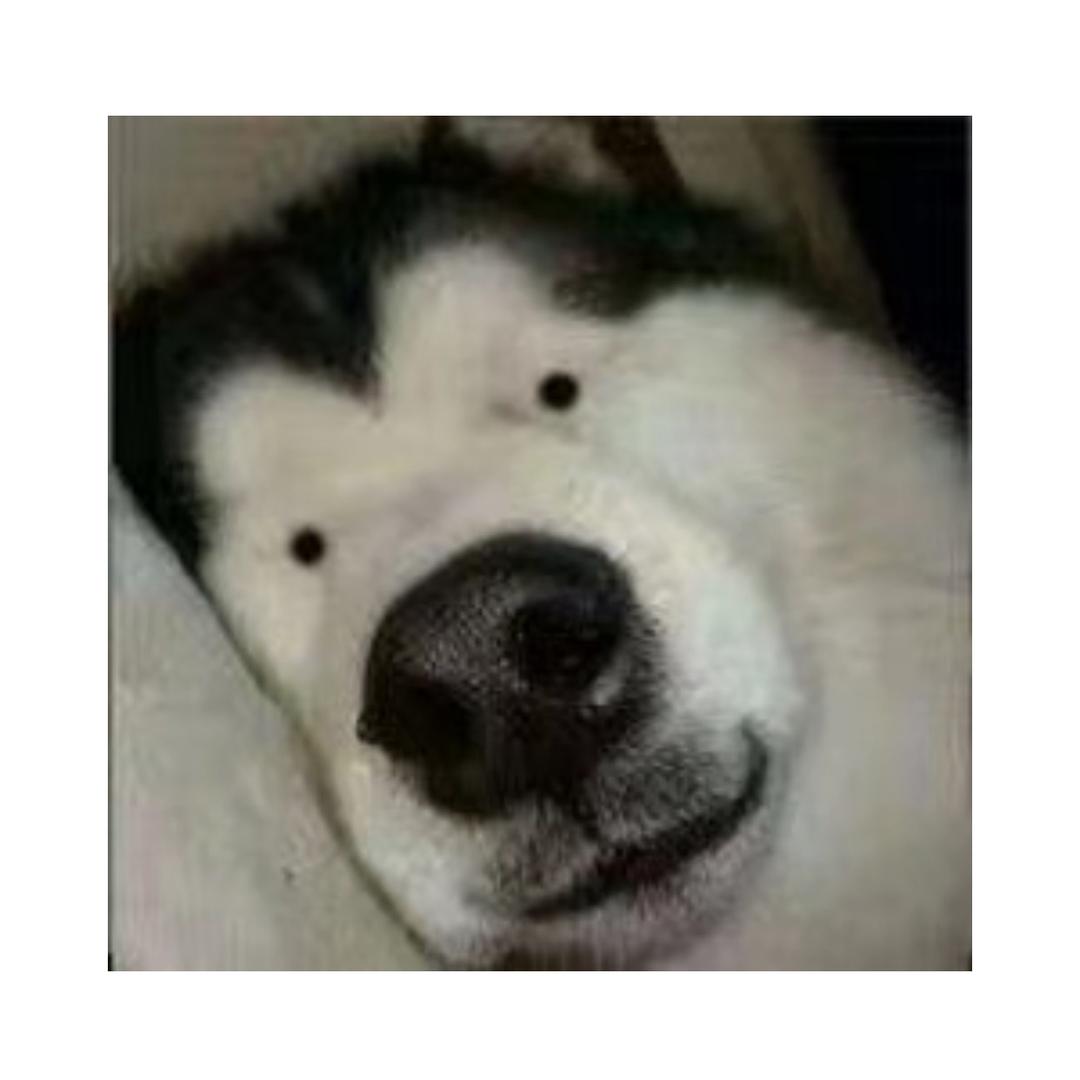 大九