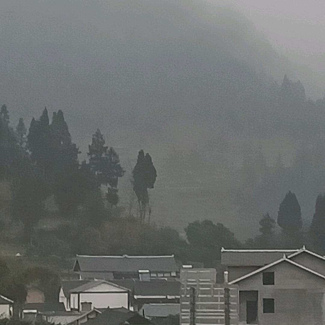 云燕