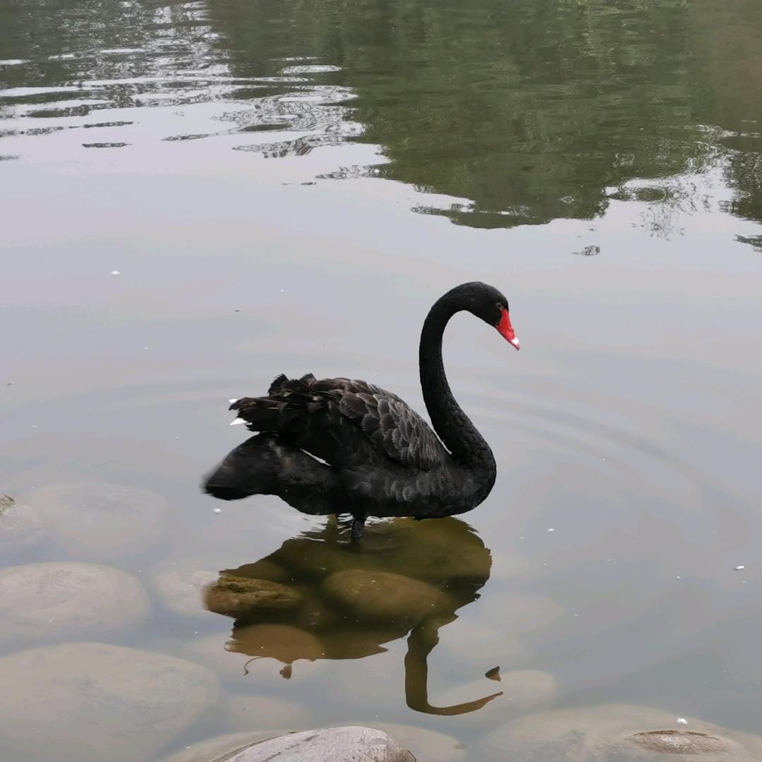 月亮湾