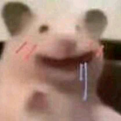 炳炳