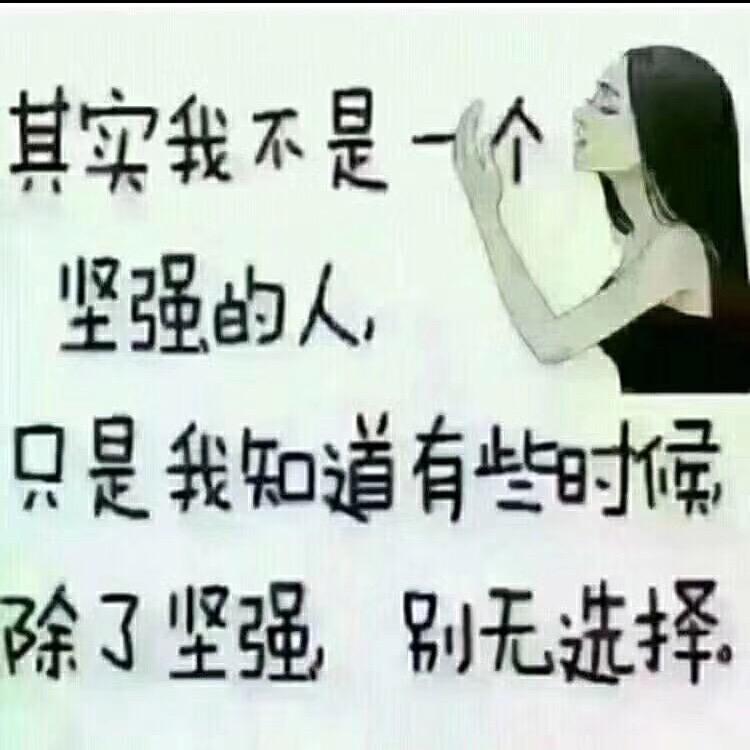 陶丨-v@wonderfur川Q叙州区