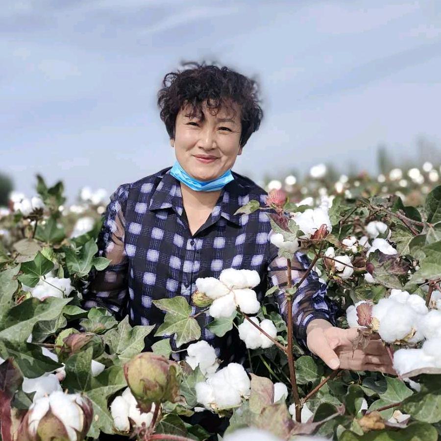 赵姐说棉花