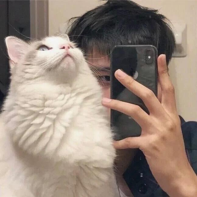 凉生@