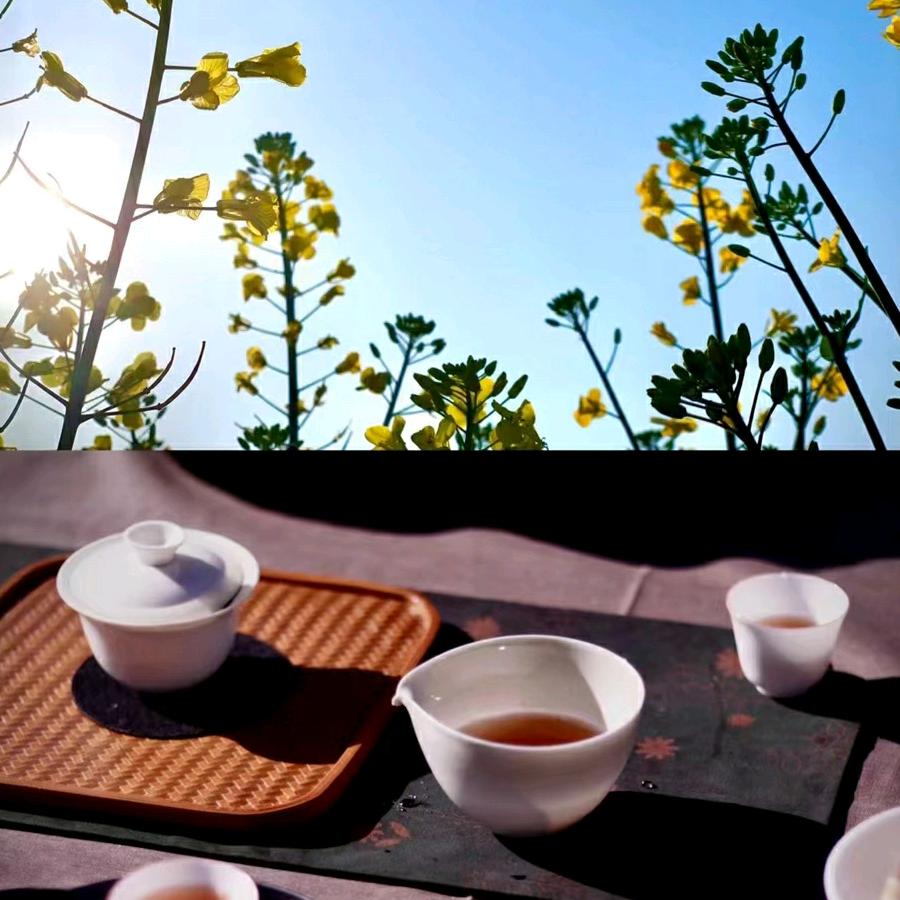 悲欢离合