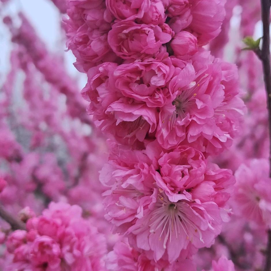 小钰米