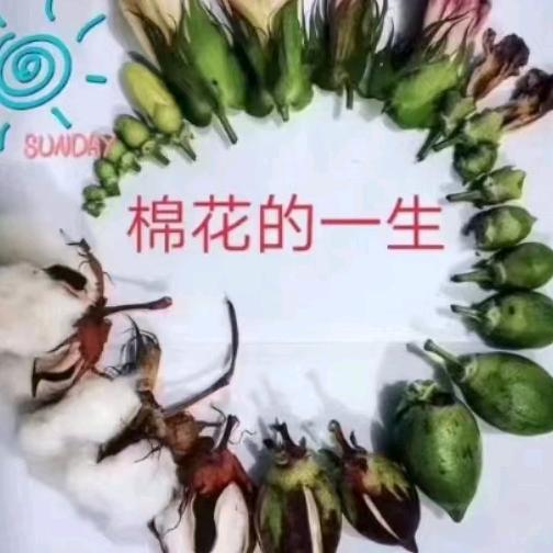 混江南