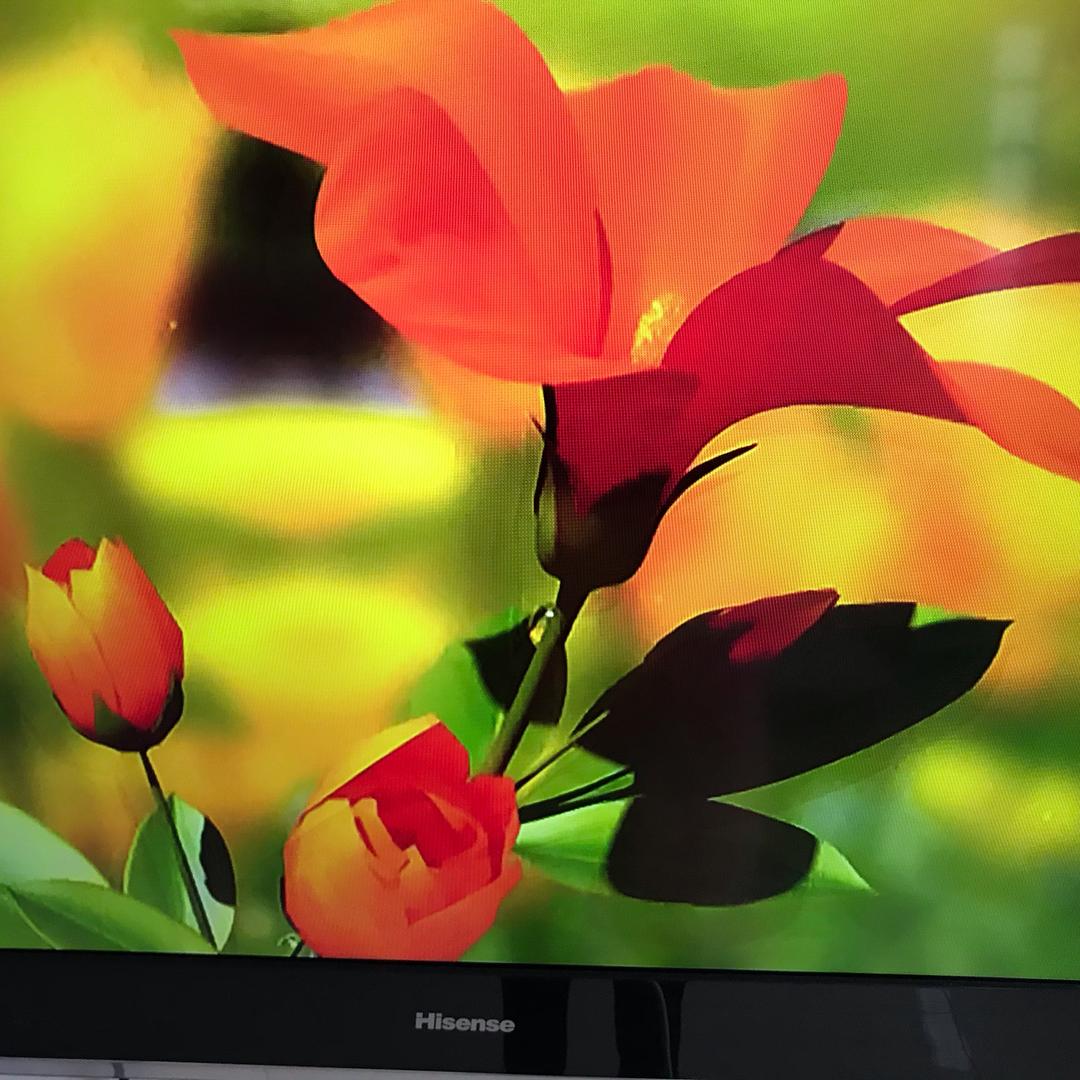 清清（健康100）