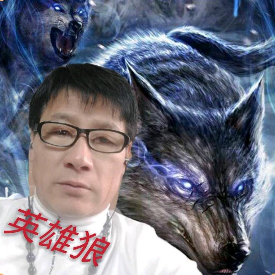 🇨🇳英雄狼🇨🇳
