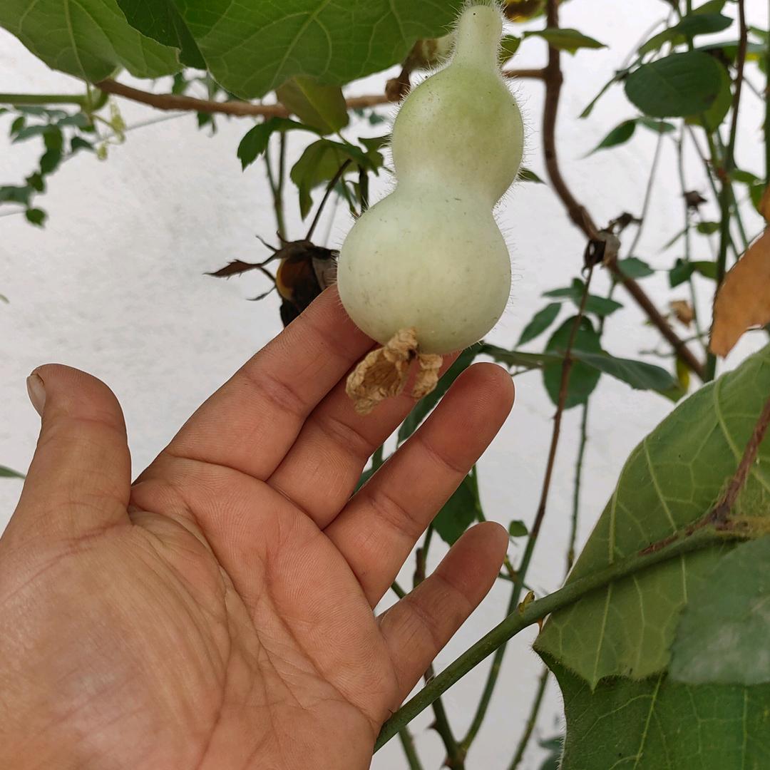 快乐的人生(拒私聊)