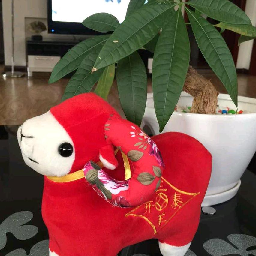 鱼儿悠悠