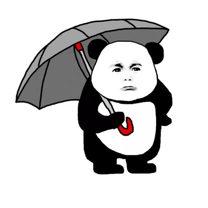 一个小阿呆