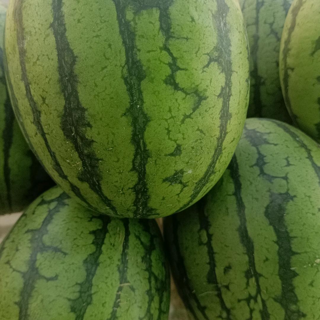 平安快乐一家人