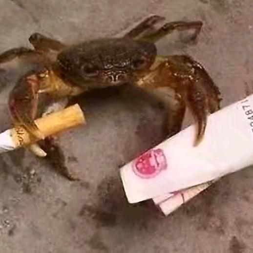 百度上说？？？