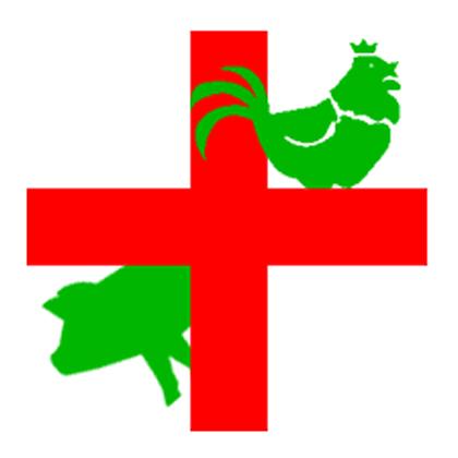 兽医王哇塞