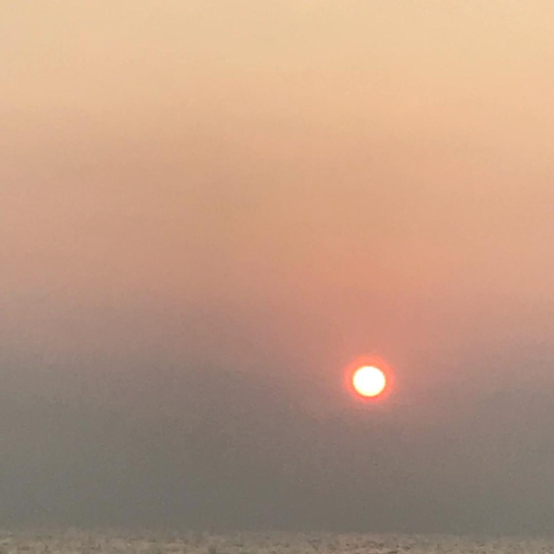 天狼