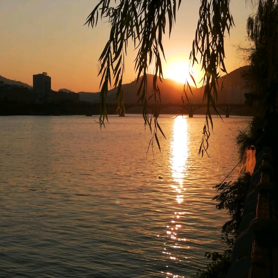 小陈陈